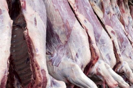 سیاست اشتباه در نهاده دامی قیمت گوشت را نجومی کرد