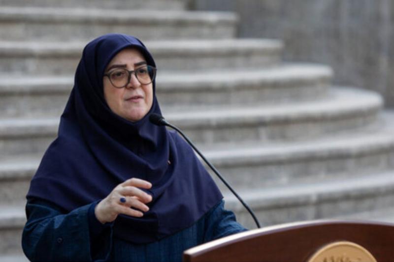 توضیحات مهاجرانی درباره برنامه‌های بنزینی دولت