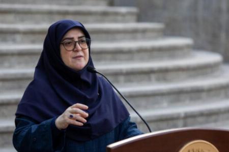 توضیحات مهاجرانی درباره برنامه‌های بنزینی دولت