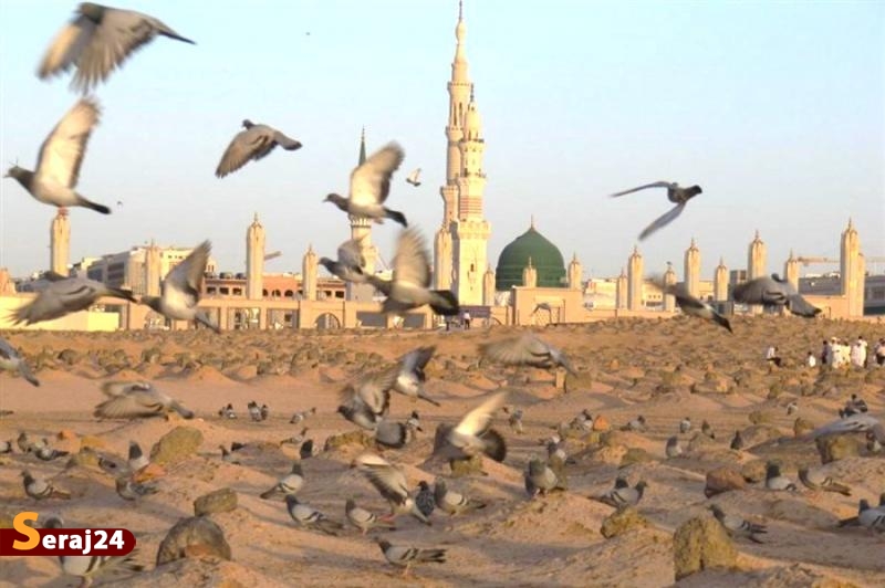 تاریخ پنهانِ یک شهادت| راز اختلاف در تاریخ شهادت حضرت زهرا‌(س)