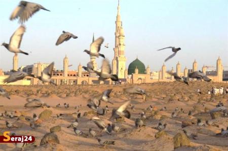 تاریخ پنهانِ یک شهادت| راز اختلاف در تاریخ شهادت حضرت زهرا‌(س)