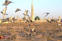 تاریخ پنهانِ یک شهادت| راز اختلاف در تاریخ شهادت حضرت زهرا‌(س)