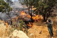 دستور عارف جهت بسیج تمام ظرفیت‌ها برای اطفای حریق در هیرکانی