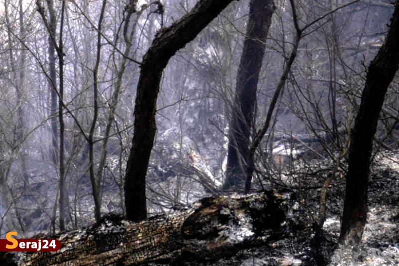 مهار آتش‌سوزی جنگل الیت + تصاویر 
