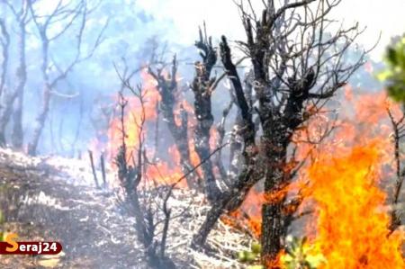 مدیریت سنتی | جنگل‌ها زیر فشار کم‌آبی و سوء‌مدیریت