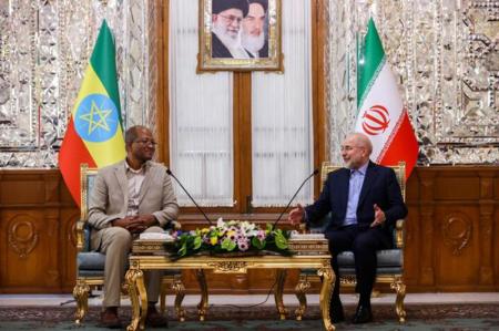 غرب به‌دنبال ایجاد ناامنی در کشورهای مستقل و مسلمان است