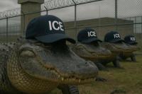 ساخت زندان محاصره شده با تمساح برای اسرای فلسطینی!