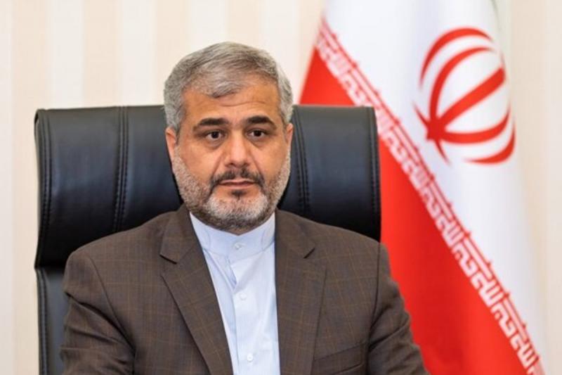 القاصی: خبر کشف ۴۱ هزار تن برنج قاچاق صحت ندارد