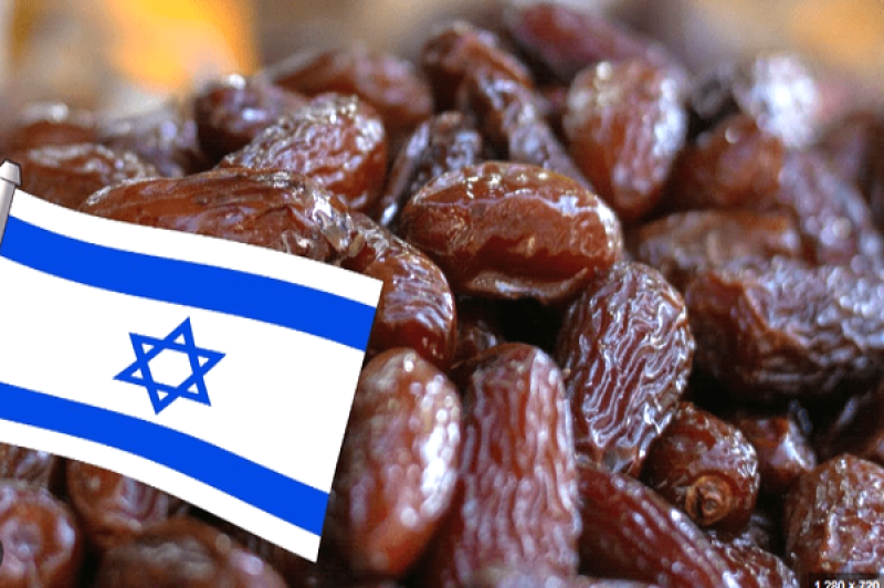 فراخوان رمضانی دنیا علیه خرما دزدی اسرائیل