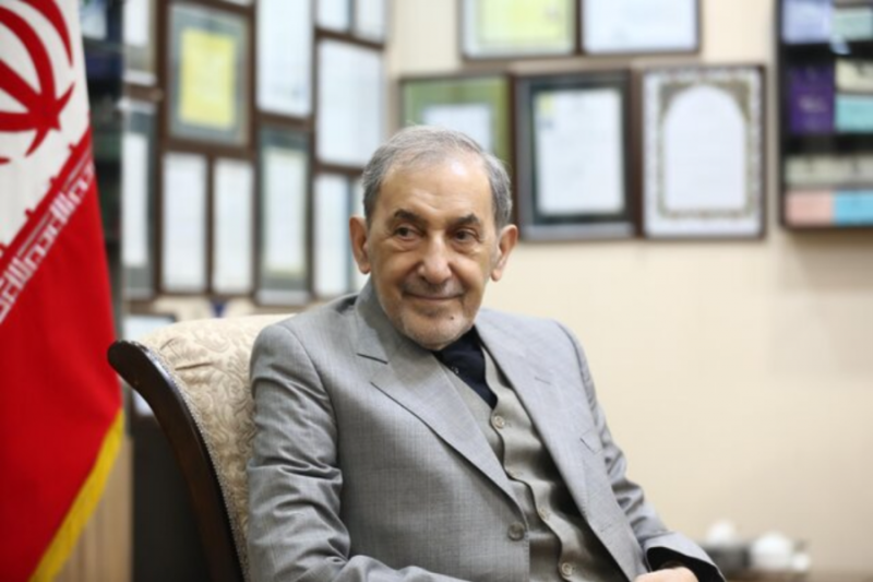 ولایتی: ایران در دفاع از خود دست به سلاح برده است