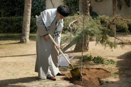 کاشت درخت به یاد «رهبر شهید» در مازندران