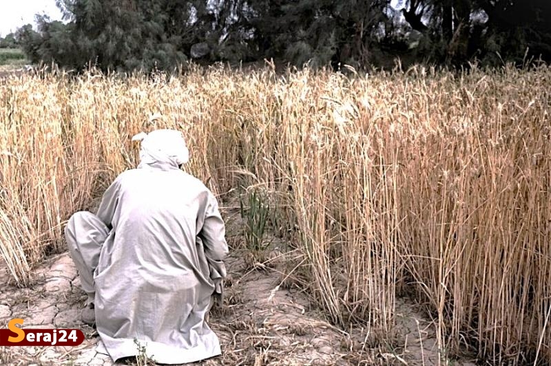 ورود آب به سیستان پس از سال‌ها خشکسالی + تصاویر