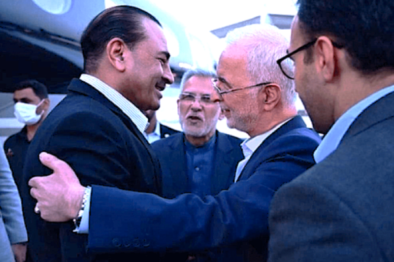 عاصم منیر وارد تهران شد