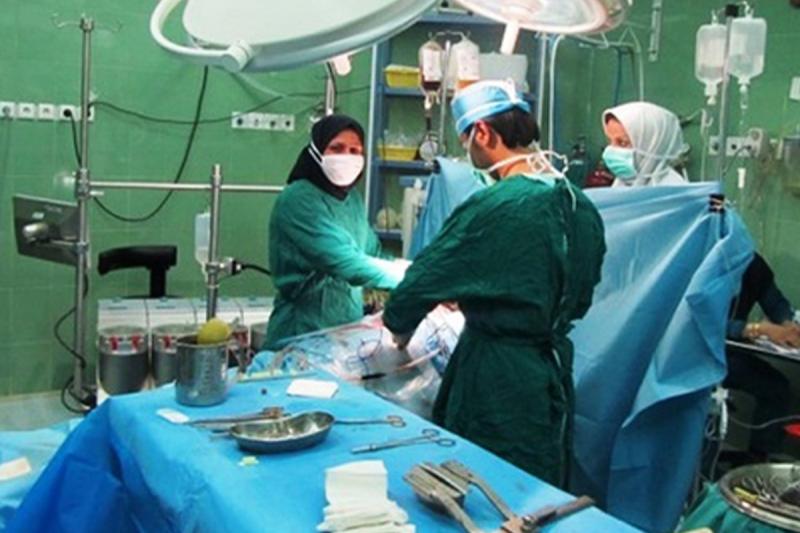 «شیراز» قطب پیوند اعضا با ۱۶ هزار عمل