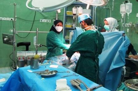 «شیراز» قطب پیوند اعضا با ۱۶ هزار عمل