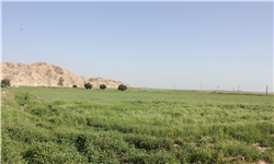 «مزرعه تابستانی من» در آموزش و پرورش