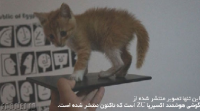 فبلت اکسپریا ZU ؛ اولین تجربه سونی در فناوری صفحه نمایش تریلومینوس!