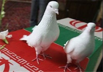 ترجمه زندگی‌نامه ۵ شهید به زبان اردو برای عرضه در پاکستان و هند