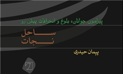 بررسی انحرافات جنسی از دیدگاه قرآنی و پزشکی در کتاب «ساحل نجات» منتشر شد