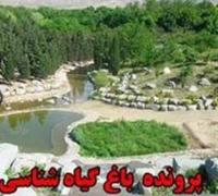 پشت پرده تخریب 