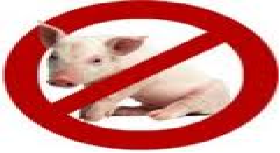 چرا گوشت خوک حرام است
