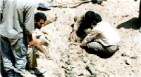 شناسایی بقایای پیکرهای 80 شهید دوران دفاع مقدس در منطقه فاو