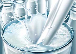 رئیس اتحادیه دامداران افزایش قیمت شیر را تکذیب کرد