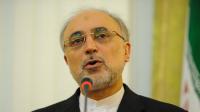 Salehi says Iran-Europe ties to grow under Rohani 
