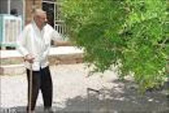 پیرترین ایرانی درگذشت