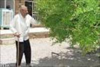پیرترین ایرانی درگذشت