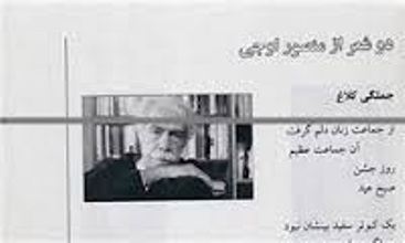 عذرخواهی بخاطر توهین به زنان چادری 