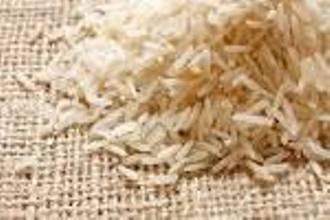 برنج‌ خارجی در کیسه‌ برنج درجه یک هاشمی! 