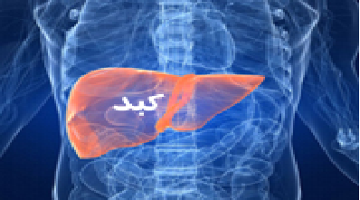 آیا می شود کبد را فروخت؟
