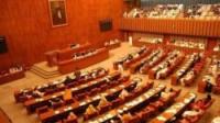 Pakistani Senate slams killing of civilians in Egypt 