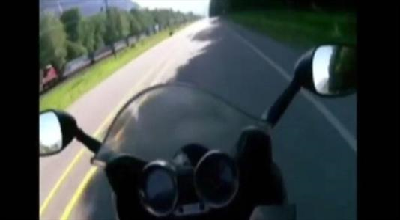  برخورد موتورسیکلتی با سرعت 140 کیلومتر با یک خرس+ فیلم