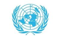 بازرسان سازمان ملل از مجروحان «دمشق» نمونه‌برداری کردند