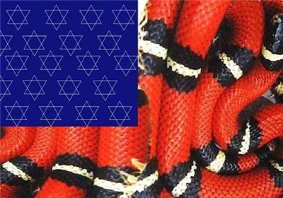 چه کسی ذره‌ای در خباثت آمریکا شک دارد