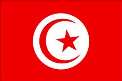 Tunisia opposes any military intervention in Syria 