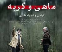  فیلم ایرانی ماهی و گربه برنده جایزه ویژه جشنواره فیلم ونیز شد