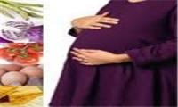 بارداری زمان مناسبی برای رژیم لاغری نیست/ مادران چند قلو باردار ۵ وعده غذا بخورند