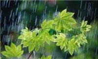 بارش باران در استان‌های شمالی/ ترافیک نیمه سنگین در هراز و چالوس
