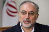 Iran, Russia stress construction of new nuclear plants, Salehi 