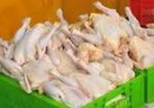 مرغ‌های تهرانی ۴۷ درصد سرب دارند