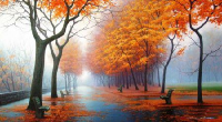 زیبایی طبیعت در برگریزان پائیز