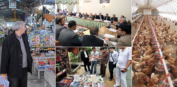 هر آنچه در جلسه ستاد تنظیم بازار گذشت