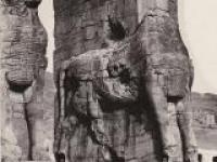 عکس/ تخت جمشید، ۹۰ سال قبل