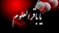 ای حیات مجدّد دنیا/ دومین یا محمّد دنیا