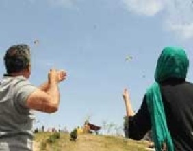 زناشویی با طعم فوتبال 