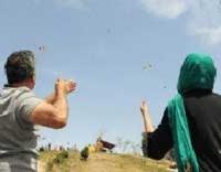 زناشویی با طعم فوتبال 