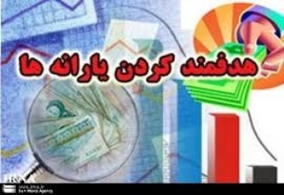 هدفمندی یارانه ها در گرداب بی هدفی 